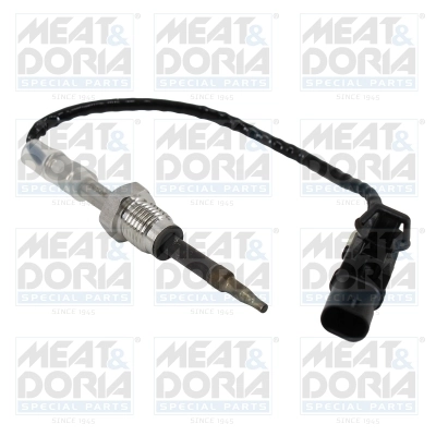 Sensor, exhaust gas temperature